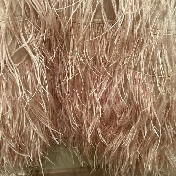 Bebe strapless fringe and sequin dress. Top is gold and the fringe is light pink - Picture 4 of 11